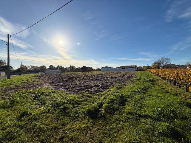 Terrain 1130 m2 cussac fort medoc