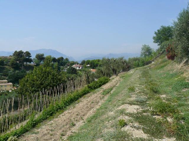 Terrain 1150 m2