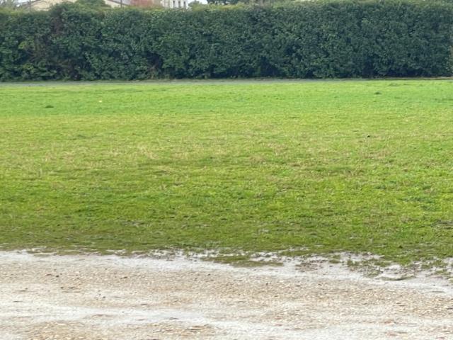 Terrain 1150 m2 st medard en jalles