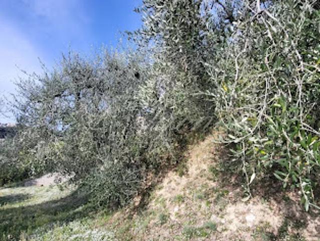 Terrain 1166 m2