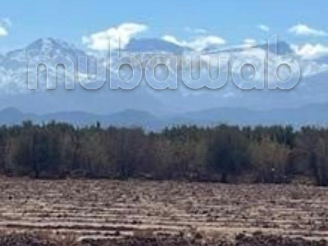 Terrain 1170m2 en vente à Sidi Abdallah Ghiat sur le goudron