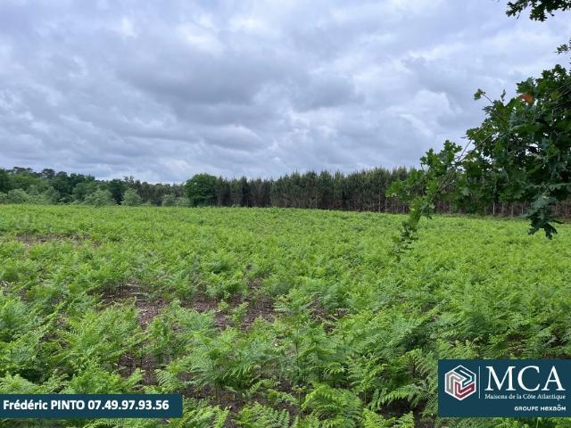 Terrain 1172 m2 st maurice sur adour
