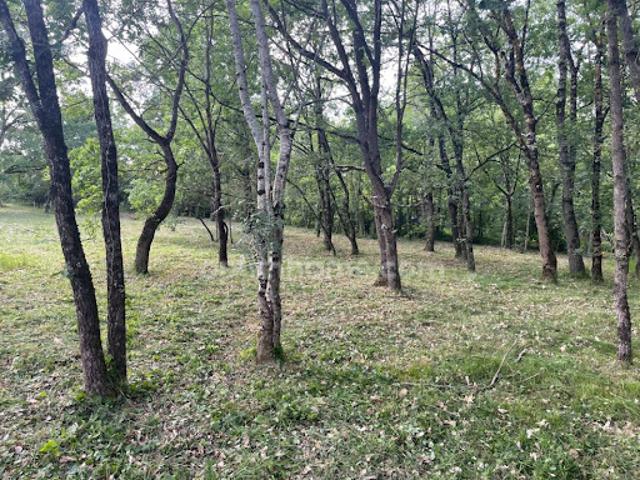 Terrain 1181 m2