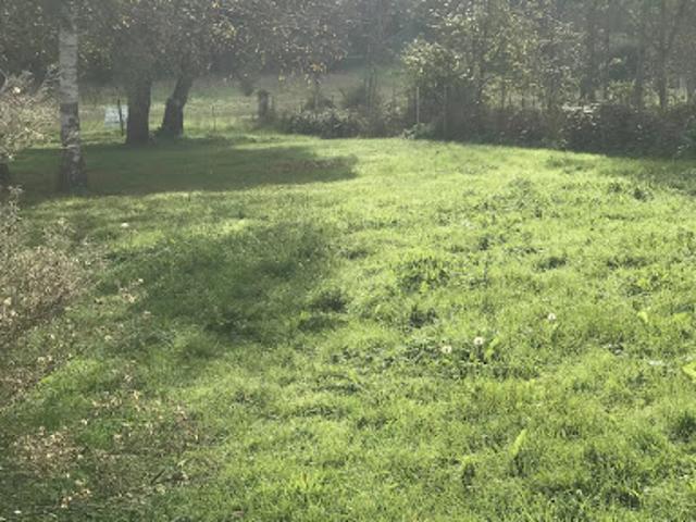 Terrain 1197 m2