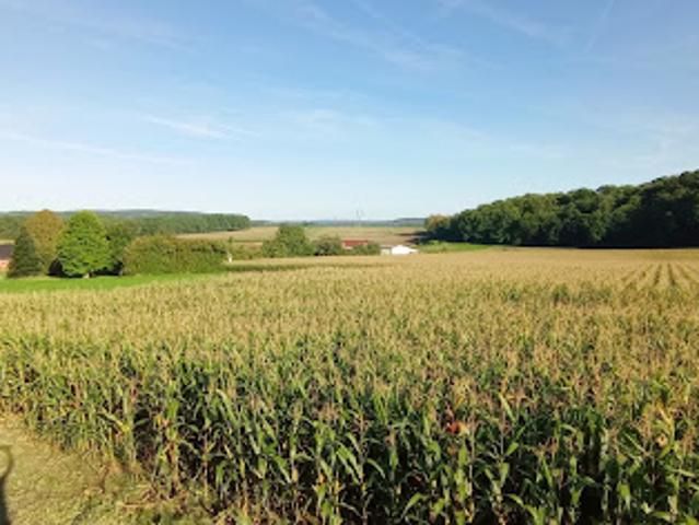 Terrain 1200 m2