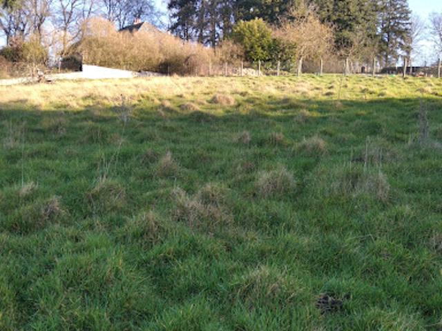 Terrain 1200 m2