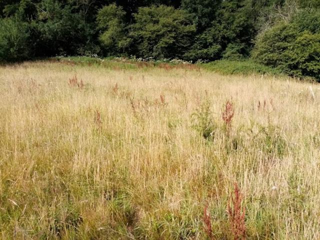 Terrain 1200 m2