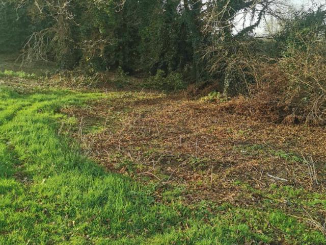 Terrain 1200 m2
