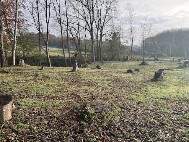 Terrain 1220 m2