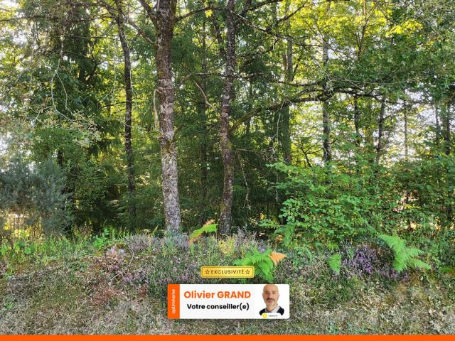 TERRAIN 1245M² ENVIRONNEMENT CAMPAGNE CALME