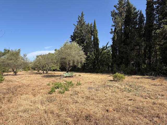 Terrain 1265 m2