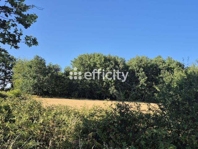 Terrain 1273 m2