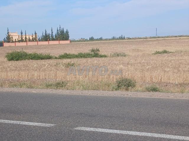Terrain 1278 M2 directement Route Amizmiz Km 22