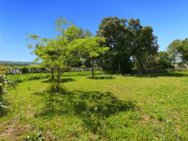 Terrain 1281 m2