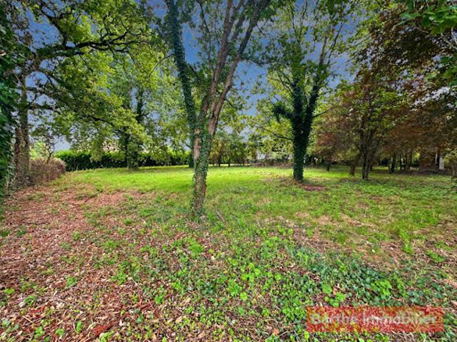 Terrain 1292 m2