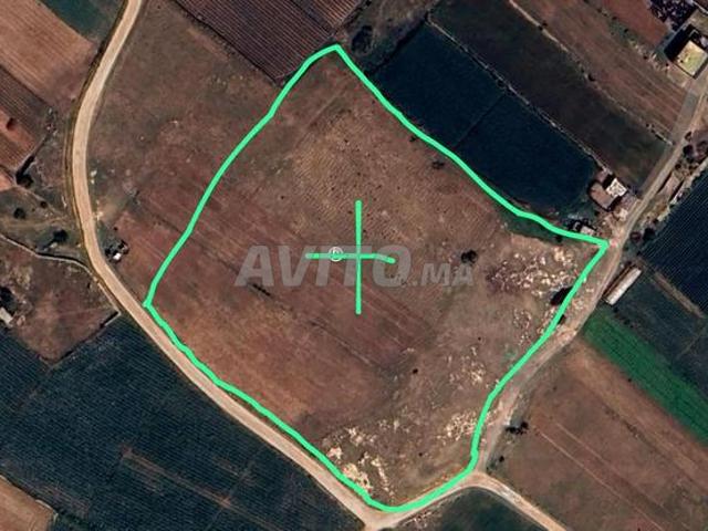 Terrain 13000m² Oulad Ghanem Négociable