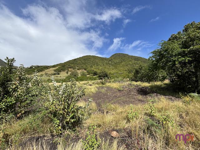Terrain 1300 m2