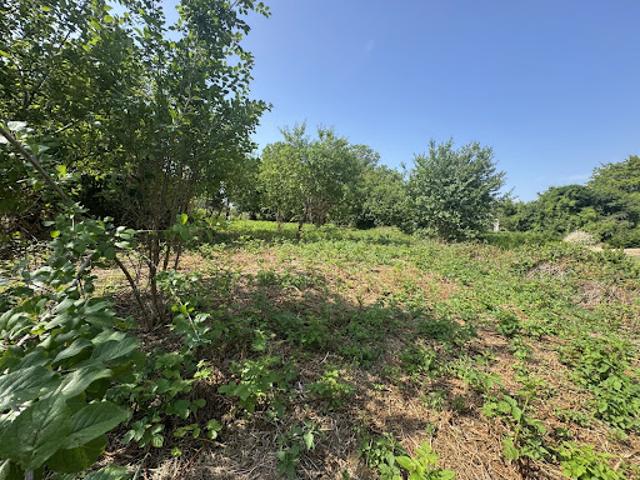 Terrain 1310 m2
