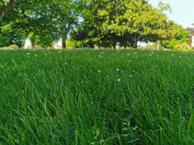 Terrain 1310 m2 gujan mestras