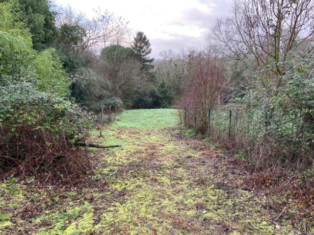 Terrain 1335 m2 le teich