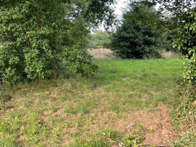 Terrain 1350 m2