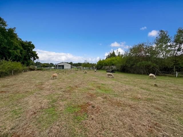 Terrain 1386 m2