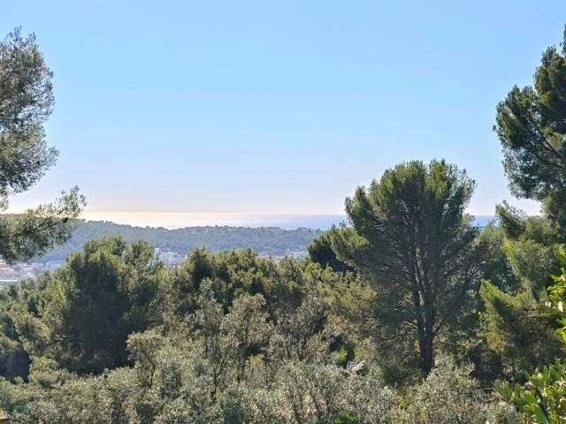 Terrain 1 005 m²