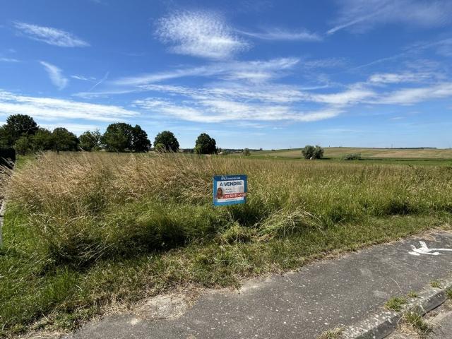 Terrain 1 000 m²