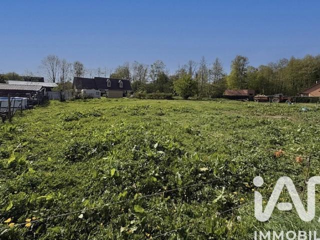 Terrain 1 000 m²