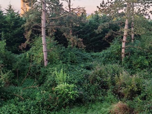 Terrain 1 000 m²