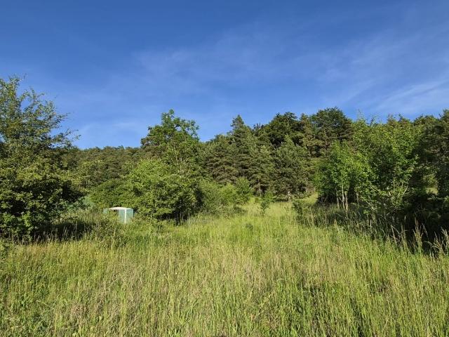 Terrain 1 000 m²