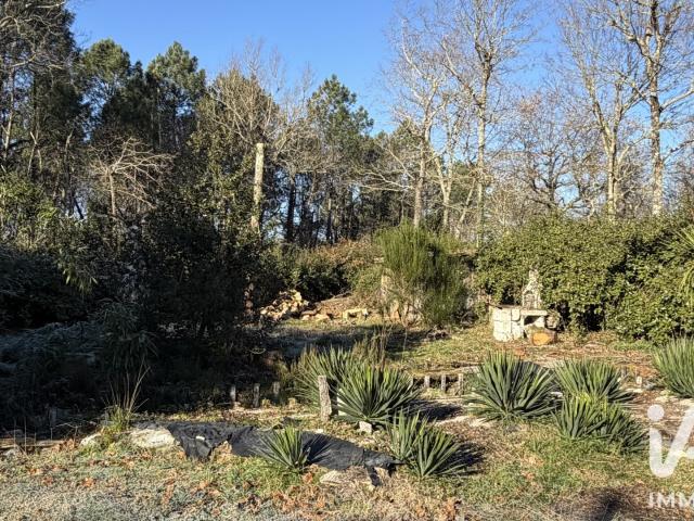 Terrain 1 000 m²