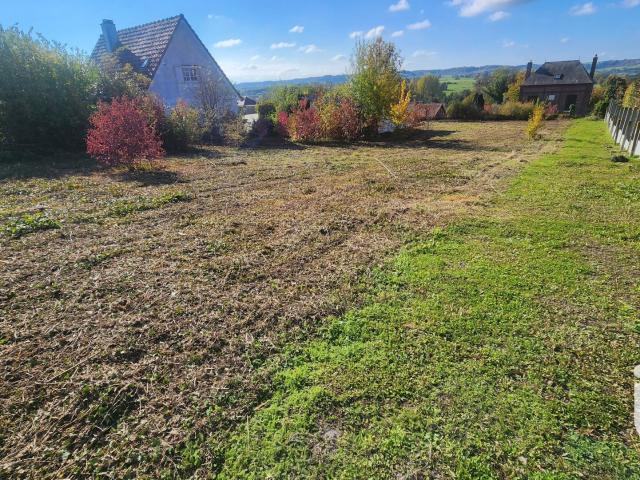 Terrain 1 000 m²