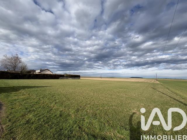 Terrain 1 000 m²