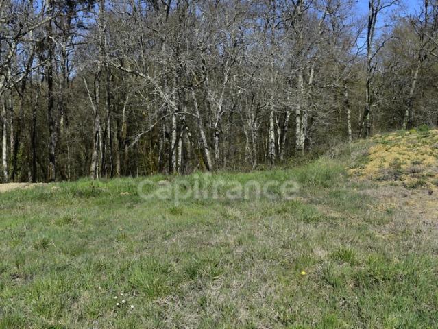 Terrain 1 000 m² à CURSAN 33