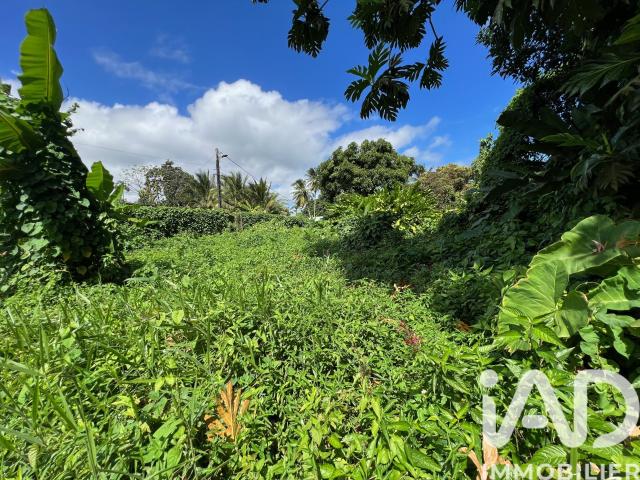 Terrain 1 015 m²