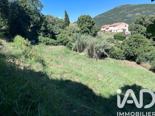 Terrain 1 016 m²
