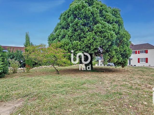 Terrain 1 037 m²