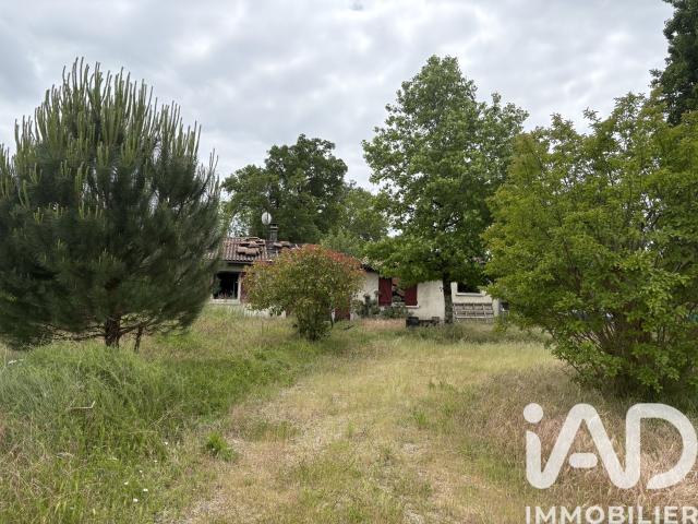 Terrain 1 039 m²