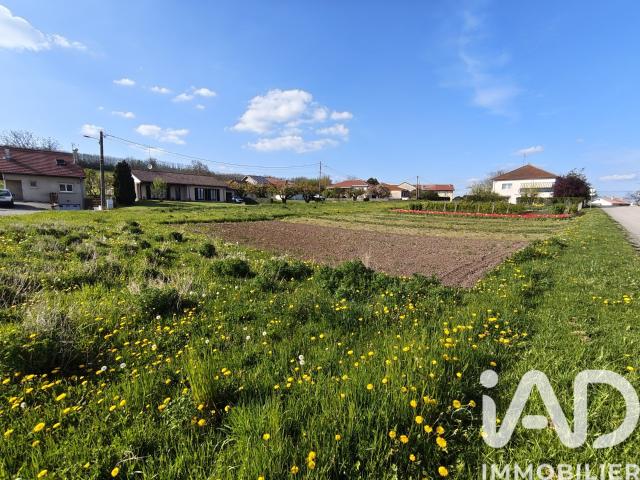 Terrain 1 042 m²