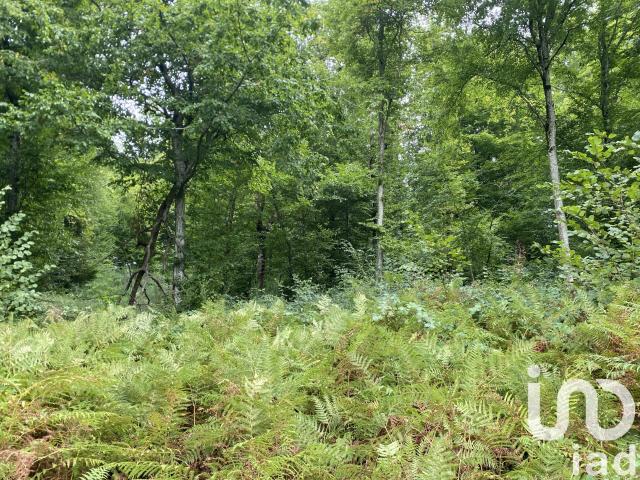 Terrain 1,04 hectare