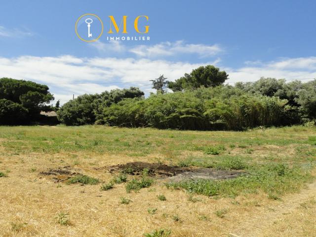 TERRAIN 1 074 M2 dont 664 m2 constructibles à SAINT GILLES