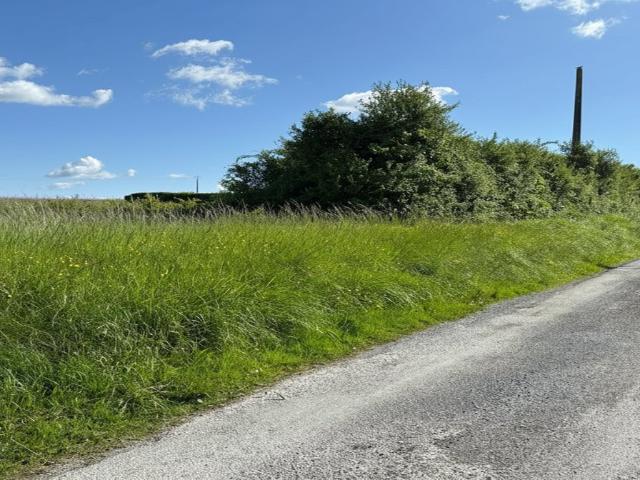 Terrain 1 150 m²