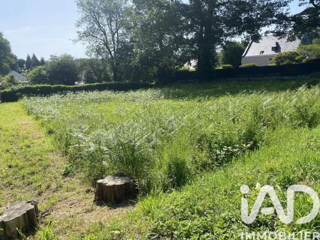 Terrain 1 150 m²