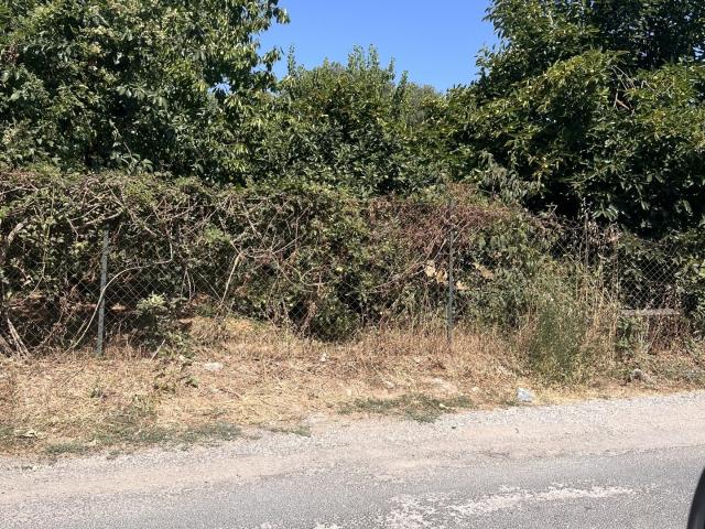 Terrain 1 165 m²