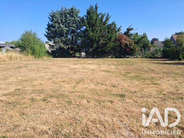 Terrain 1 185 m²