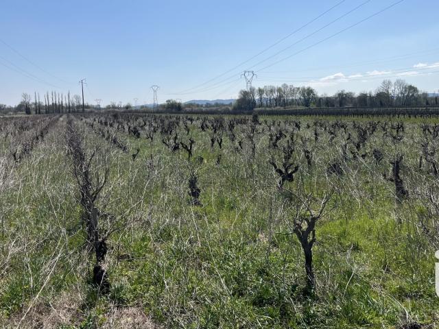 Terrain 1,18 hectare