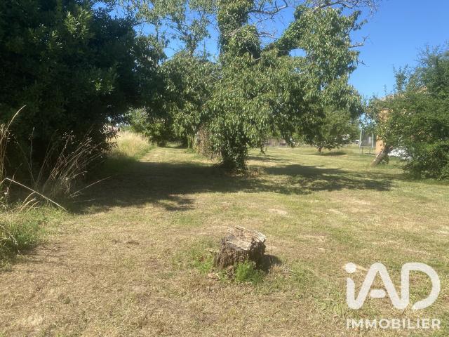 Terrain 1 215 m²