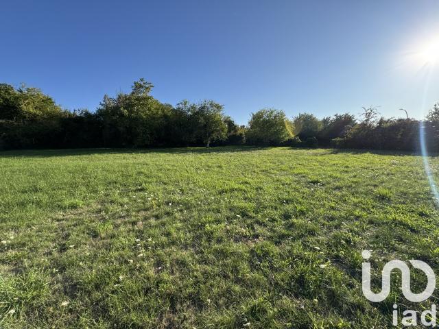 Terrain 1 224 m²