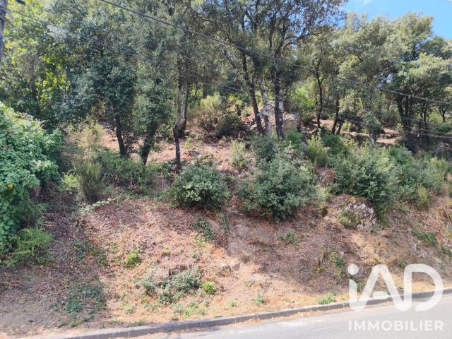 Terrain 1 227 m²